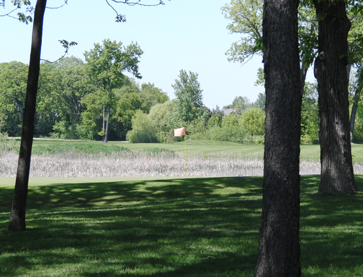 view of the fairway from under the tree shade