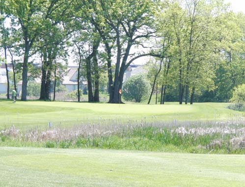 Bittersweet Golf Club landscape